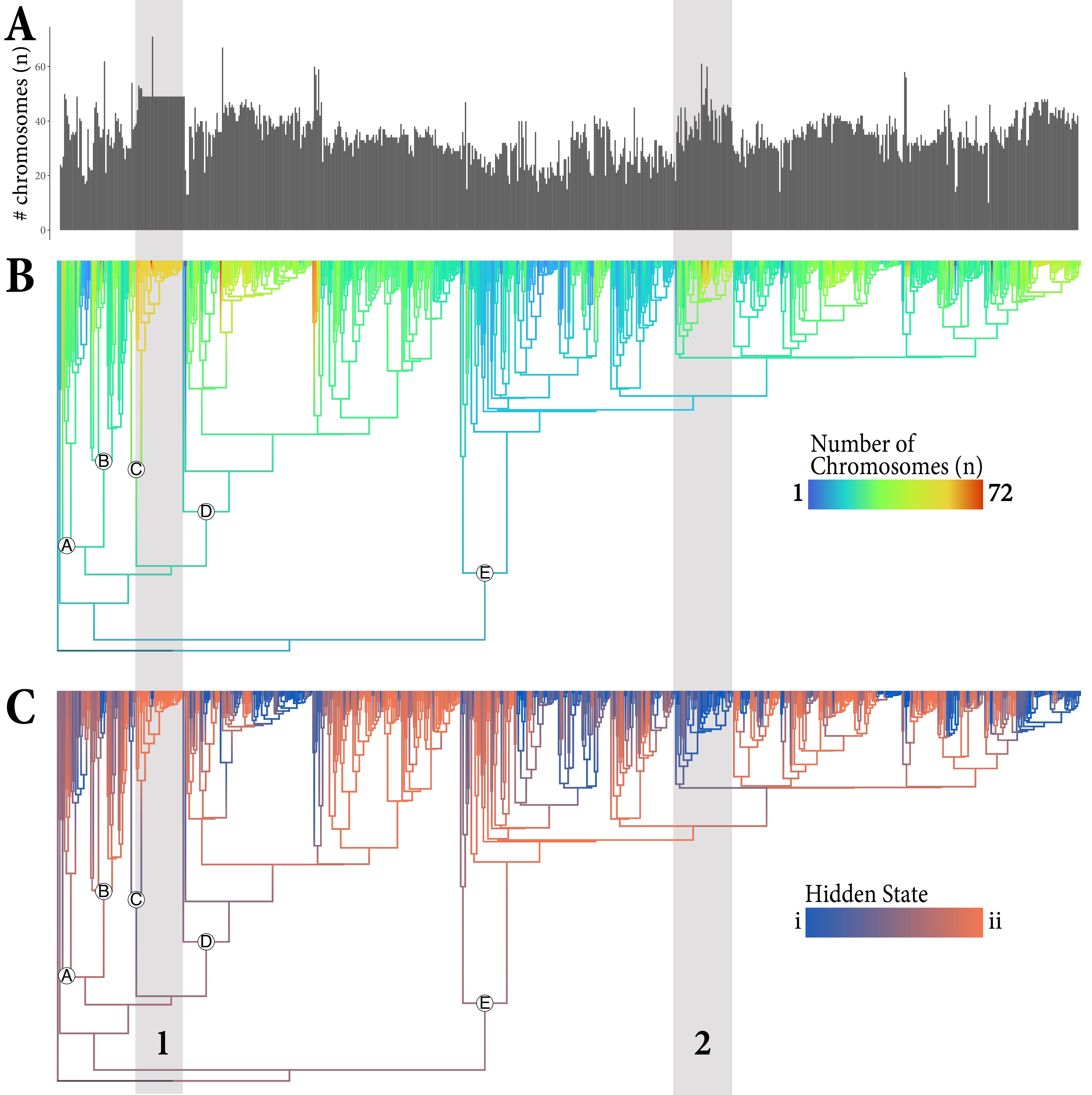 trees and chromosome numbers