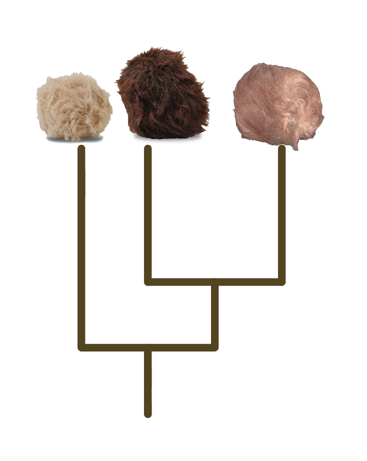 Tribble Lab