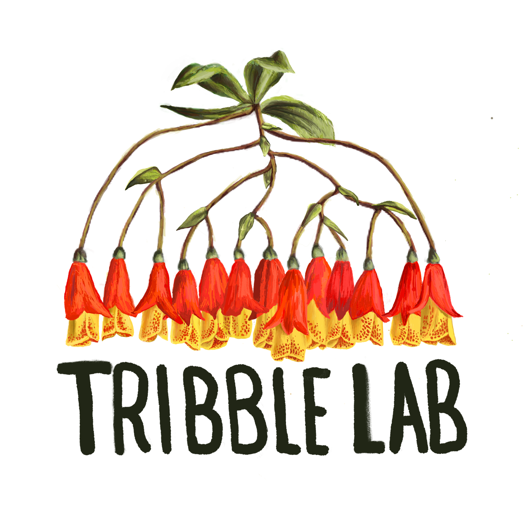 Tribble Lab